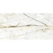 Calacatta Green Polished Wall & Floor Tile 60cm x 120cm