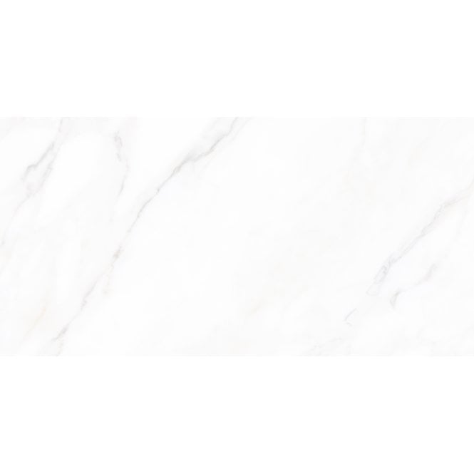 Calacatta Michael Matt 60cm x 120cm Wall and Floor Tile