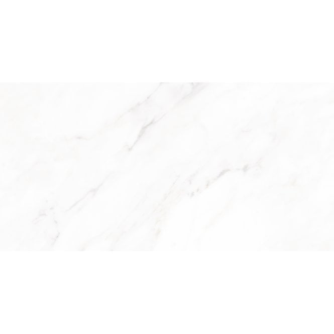 Calacatta Michael Matt 60cm x 120cm Wall and Floor Tile