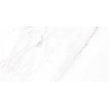 Calacatta Michael Matt 60cm x 120cm Wall and Floor Tile