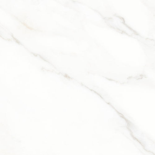 Calacatta Michael Matt 60cm x 60cm Wall and Floor Tile