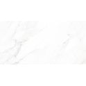 Calacatta Michael Polished 30cm x 60cm Wall and Floor Tile