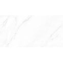 Calacatta Michael Polished 60cm x 120cm Wall and Floor Tile