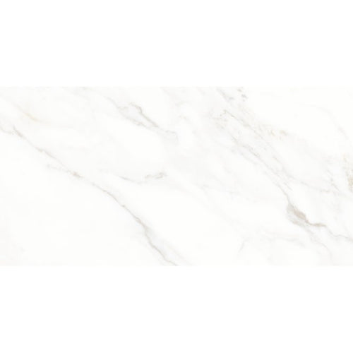 Calacatta Michael Soft Matt 60cm x 120cm Wall & Floor Tile