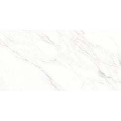 Calacatta Michael Soft Matt 60cm x 120cm Wall & Floor Tile