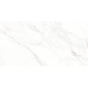 Calacatta Michael Soft Matt 60cm x 120cm Wall & Floor Tile
