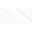 Calacatta Michael Soft Matt 60cm x 120cm Wall & Floor Tile