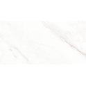 Calacatta Michael Soft Matt 60cm x 120cm Wall & Floor Tile