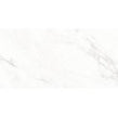 Calacatta Michael Soft Matt 60cm x 120cm Wall & Floor Tile