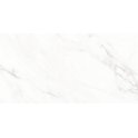 Calacatta Michael Soft Matt 60cm x 120cm Wall & Floor Tile