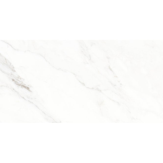 Calacatta Michael Soft Matt 60cm x 120cm Wall & Floor Tile