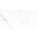 Calacatta Michael Soft Matt 60cm x 120cm Wall & Floor Tile