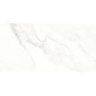 Calacatta Michael Soft Matt 60cm x 120cm Wall & Floor Tile