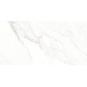 Calacatta Michael Soft Matt 60cm x 120cm Wall & Floor Tile