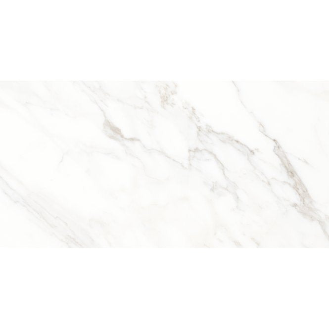 Calacatta Michael Soft Matt 60cm x 120cm Wall & Floor Tile