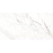 Calacatta Michael Soft Matt 60cm x 120cm Wall & Floor Tile