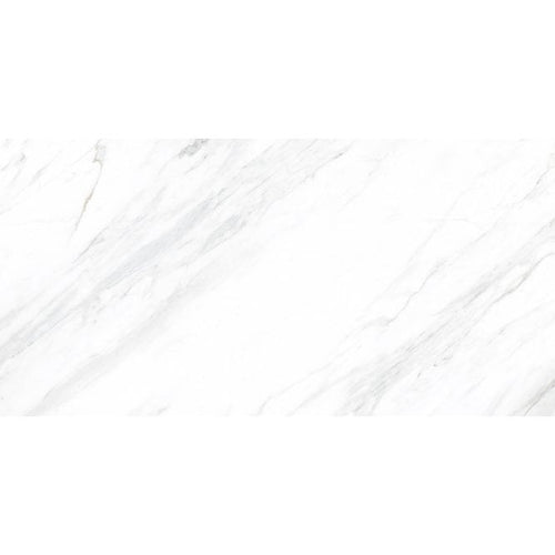 Carrara Classico Matt 30cm x 60cm Wall and Floor Tile