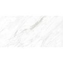 Carrara Classico Matt 30cm x 60cm Wall and Floor Tile