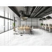 Carrara Classico Polished 60cm x 120cm Wall & Floor Tile