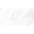 Carrara Classico Polished 60cm x 120cm Wall & Floor Tile