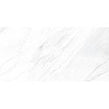 Carrara Classico Polished 60cm x 120cm Wall & Floor Tile