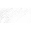 Carrara Classico Polished 60cm x 120cm Wall & Floor Tile