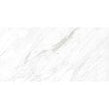 Carrara Classico Polished 60cm x 120cm Wall & Floor Tile