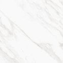 Carrara Classico Polished 60cm x 60cm Wall and Floor Tile
