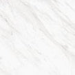 Carrara Classico Polished 60cm x 60cm Wall and Floor Tile