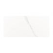 Carrara Gloss 25cm x 50cm Wall Tile
