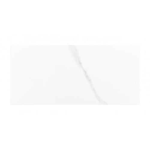 Carrara Gloss 25cm x 50cm Wall Tile