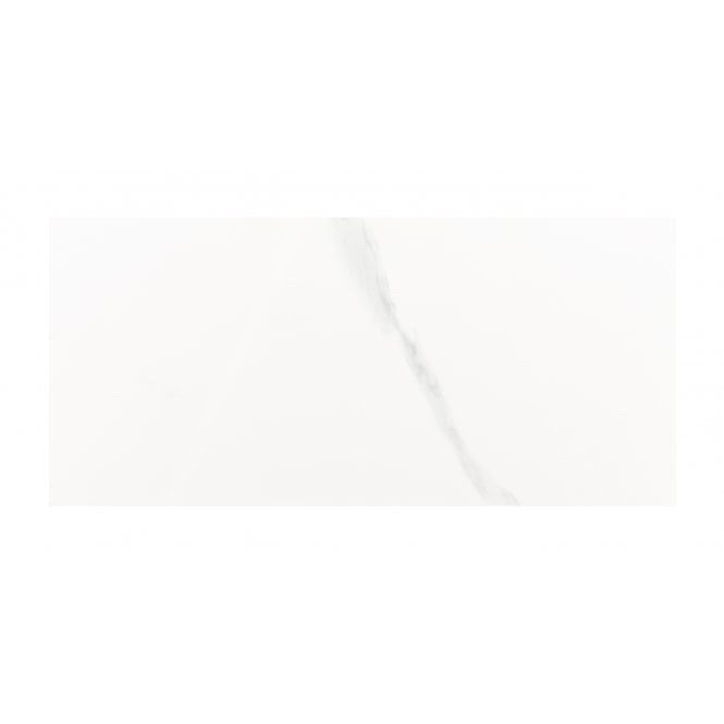 Carrara Gloss 25cm x 50cm Wall Tile