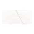 Carrara Gloss 25cm x 50cm Wall Tile