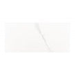 Carrara Gloss 25cm x 50cm Wall Tile