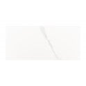 Carrara Gloss 25cm x 50cm Wall Tile