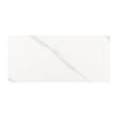 Carrara Gloss 25cm x 50cm Wall Tile