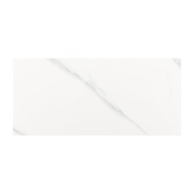 Carrara Gloss 25cm x 50cm Wall Tile
