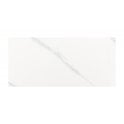 Carrara Gloss 25cm x 50cm Wall Tile