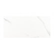 Carrara Gloss 25cm x 50cm Wall Tile