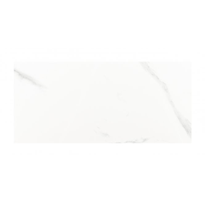 Carrara Gloss 25cm x 50cm Wall Tile