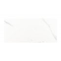 Carrara Gloss 25cm x 50cm Wall Tile