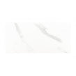 Carrara Gloss 25cm x 50cm Wall Tile