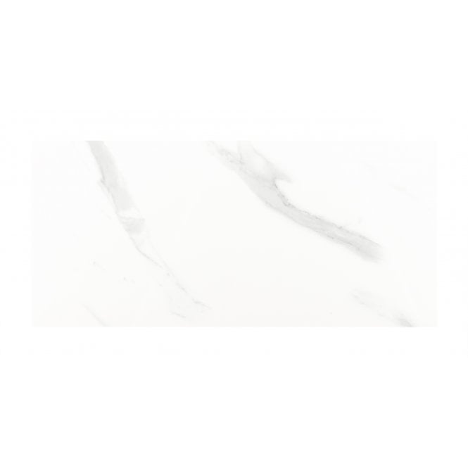 Carrara Gloss 25cm x 50cm Wall Tile