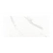 Carrara Gloss 25cm x 50cm Wall Tile