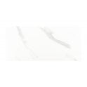 Carrara Gloss 25cm x 50cm Wall Tile