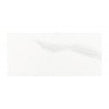 Carrara Gloss 25cm x 50cm Wall Tile