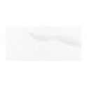 Carrara Gloss 25cm x 50cm Wall Tile