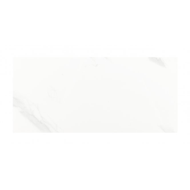 Carrara Gloss 25cm x 50cm Wall Tile