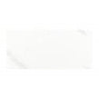 Carrara Gloss 25cm x 50cm Wall Tile