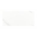 Carrara Gloss 25cm x 50cm Wall Tile